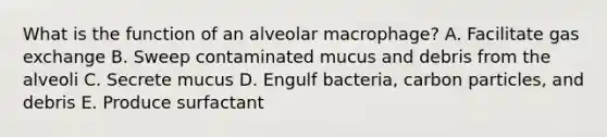 What is the function of an alveolar macrophage? A. Facilitate gas exchange B. Sweep contaminated mucus and debris from the alveoli C. Secrete mucus D. Engulf bacteria, carbon particles, and debris E. Produce surfactant