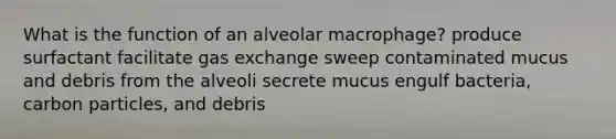 What is the function of an alveolar macrophage? produce surfactant facilitate gas exchange sweep contaminated mucus and debris from the alveoli secrete mucus engulf bacteria, carbon particles, and debris