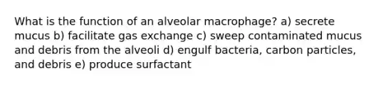 What is the function of an alveolar macrophage? a) secrete mucus b) facilitate gas exchange c) sweep contaminated mucus and debris from the alveoli d) engulf bacteria, carbon particles, and debris e) produce surfactant