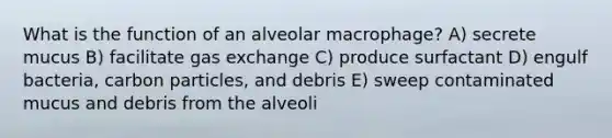 What is the function of an alveolar macrophage? A) secrete mucus B) facilitate gas exchange C) produce surfactant D) engulf bacteria, carbon particles, and debris E) sweep contaminated mucus and debris from the alveoli