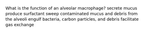 What is the function of an alveolar macrophage? secrete mucus produce surfactant sweep contaminated mucus and debris from the alveoli engulf bacteria, carbon particles, and debris facilitate gas exchange