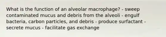 What is the function of an alveolar macrophage? - sweep contaminated mucus and debris from the alveoli - engulf bacteria, carbon particles, and debris - produce surfactant - secrete mucus - facilitate gas exchange