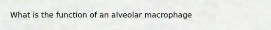 What is the function of an alveolar macrophage