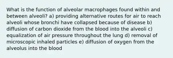 What is the function of alveolar macrophages found within and between alveoli? a) providing alternative routes for air to reach alveoli whose bronchi have collapsed because of disease b) diffusion of carbon dioxide from the blood into the alveoli c) equalization of air pressure throughout the lung d) removal of microscopic inhaled particles e) diffusion of oxygen from the alveolus into the blood