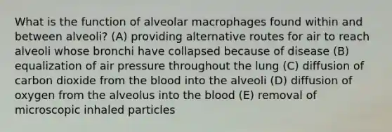 What is the function of alveolar macrophages found within and between alveoli? (A) providing alternative routes for air to reach alveoli whose bronchi have collapsed because of disease (B) equalization of air pressure throughout the lung (C) diffusion of carbon dioxide from the blood into the alveoli (D) diffusion of oxygen from the alveolus into the blood (E) removal of microscopic inhaled particles