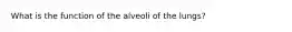 What is the function of the alveoli of the lungs?