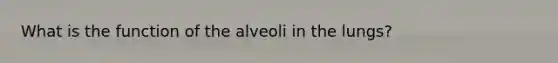 What is the function of the alveoli in the lungs?