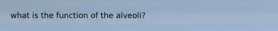 what is the function of the alveoli?