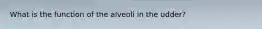 What is the function of the alveoli in the udder?
