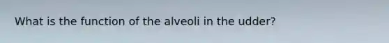 What is the function of the alveoli in the udder?