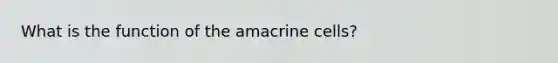 What is the function of the amacrine cells?