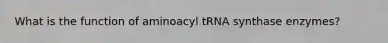 What is the function of aminoacyl tRNA synthase enzymes?