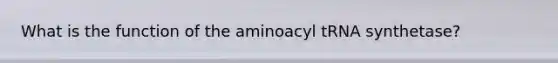 What is the function of the aminoacyl tRNA synthetase?