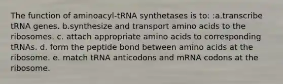 The function of aminoacyl-tRNA synthetases is to: :a.transcribe tRNA genes. b.synthesize and transport amino acids to the ribosomes. c. attach appropriate amino acids to corresponding tRNAs. d. form the peptide bond between amino acids at the ribosome. e. match tRNA anticodons and mRNA codons at the ribosome.