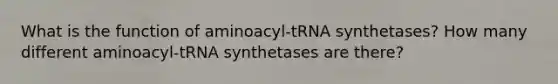 What is the function of aminoacyl-tRNA synthetases? How many different aminoacyl-tRNA synthetases are there?