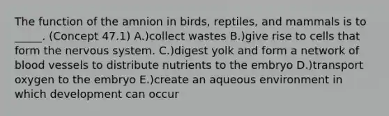 The function of the amnion in birds, reptiles, and mammals is to _____. (Concept 47.1) A.)collect wastes B.)give rise to cells that form the nervous system. C.)digest yolk and form a network of blood vessels to distribute nutrients to the embryo D.)transport oxygen to the embryo E.)create an aqueous environment in which development can occur