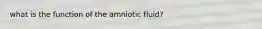 what is the function of the amniotic fluid?