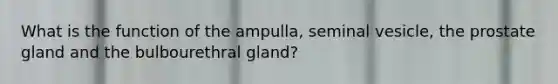 What is the function of the ampulla, seminal vesicle, the prostate gland and the bulbourethral gland?