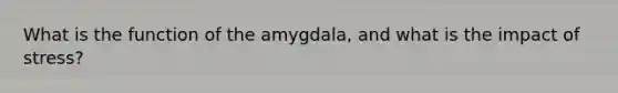 What is the function of the amygdala, and what is the impact of stress?