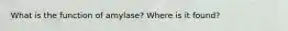 What is the function of amylase? Where is it found?