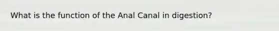 What is the function of the Anal Canal in digestion?