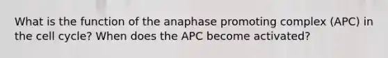 What is the function of the anaphase promoting complex (APC) in the cell cycle? When does the APC become activated?