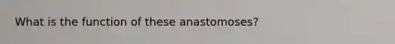 What is the function of these anastomoses?