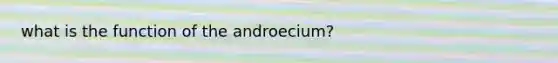 what is the function of the androecium?