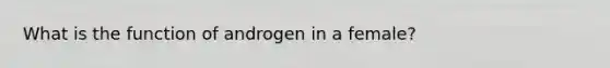 What is the function of androgen in a female?