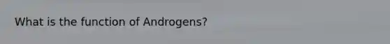 What is the function of Androgens?