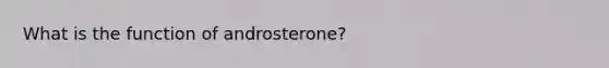 What is the function of androsterone?