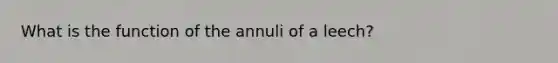 What is the function of the annuli of a leech?