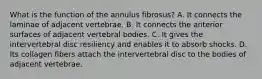 What is the function of the annulus fibrosus? A. It connects the laminae of adjacent vertebrae. B. It connects the anterior surfaces of adjacent vertebral bodies. C. It gives the intervertebral disc resiliency and enables it to absorb shocks. D. Its collagen fibers attach the intervertebral disc to the bodies of adjacent vertebrae.