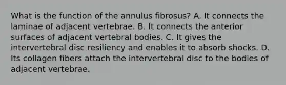 What is the function of the annulus fibrosus? A. It connects the laminae of adjacent vertebrae. B. It connects the anterior surfaces of adjacent vertebral bodies. C. It gives the intervertebral disc resiliency and enables it to absorb shocks. D. Its collagen fibers attach the intervertebral disc to the bodies of adjacent vertebrae.