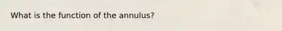 What is the function of the annulus?