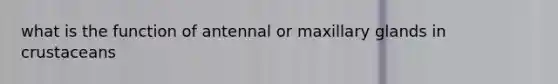 what is the function of antennal or maxillary glands in crustaceans