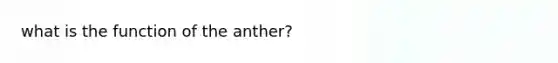 what is the function of the anther?