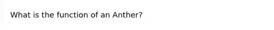 What is the function of an Anther?