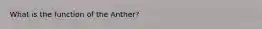 What is the function of the Anther?