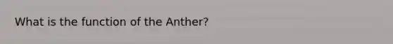 What is the function of the Anther?