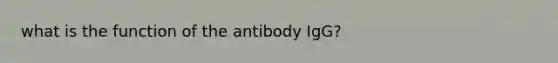 what is the function of the antibody IgG?