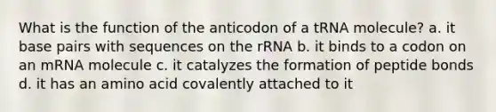 What is the function of the anticodon of a tRNA molecule? a. it base pairs with sequences on the rRNA b. it binds to a codon on an mRNA molecule c. it catalyzes the formation of peptide bonds d. it has an amino acid covalently attached to it