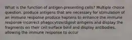 What is the function of antigen-presenting cells? Multiple choice question. produce antigens that are necessary for stimulation of an immune response produce haptens to enhance the immune response incorrect phagocytize/digest antigens and display the fragments on their cell surface bind and display antibodies, allowing the immune response to occur