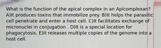 What is the function of the apical complex in an Apicomplexan? A)It produces toxins that immobilize prey. B)It helps the parasitic cell penetrate and enter a host cell. C)It facilitates exchange of micronuclei in conjugation . D)It is a special location for phagocytosis. E)It releases multiple copies of the genome into a host cell.