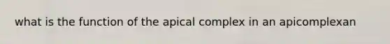 what is the function of the apical complex in an apicomplexan