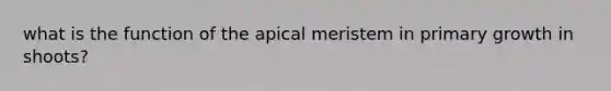 what is the function of the apical meristem in primary growth in shoots?