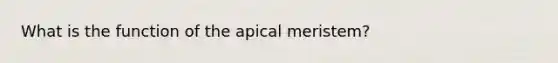 What is the function of the apical meristem?