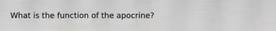 What is the function of the apocrine?