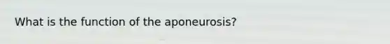 What is the function of the aponeurosis?