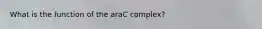 What is the function of the araC complex?